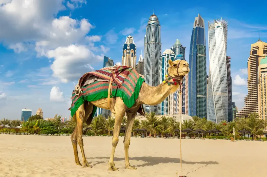 cash and atms in uae and dubai atm fee saver